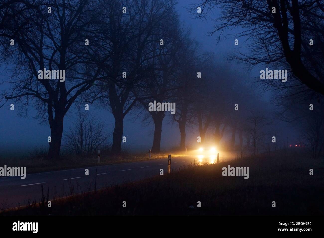 Ein Auto bei anbruch der Nacht auf einer Landstraße / Allee Stockfoto