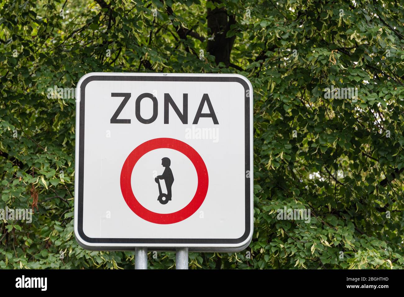 Kein segway - persönliche Mobilitätsgeräte verboten. Weißes Schild auf einem Hintergrund aus grünen Blättern und Zweigen. Das Straßenschild mit dem Roller, Forb Stockfoto