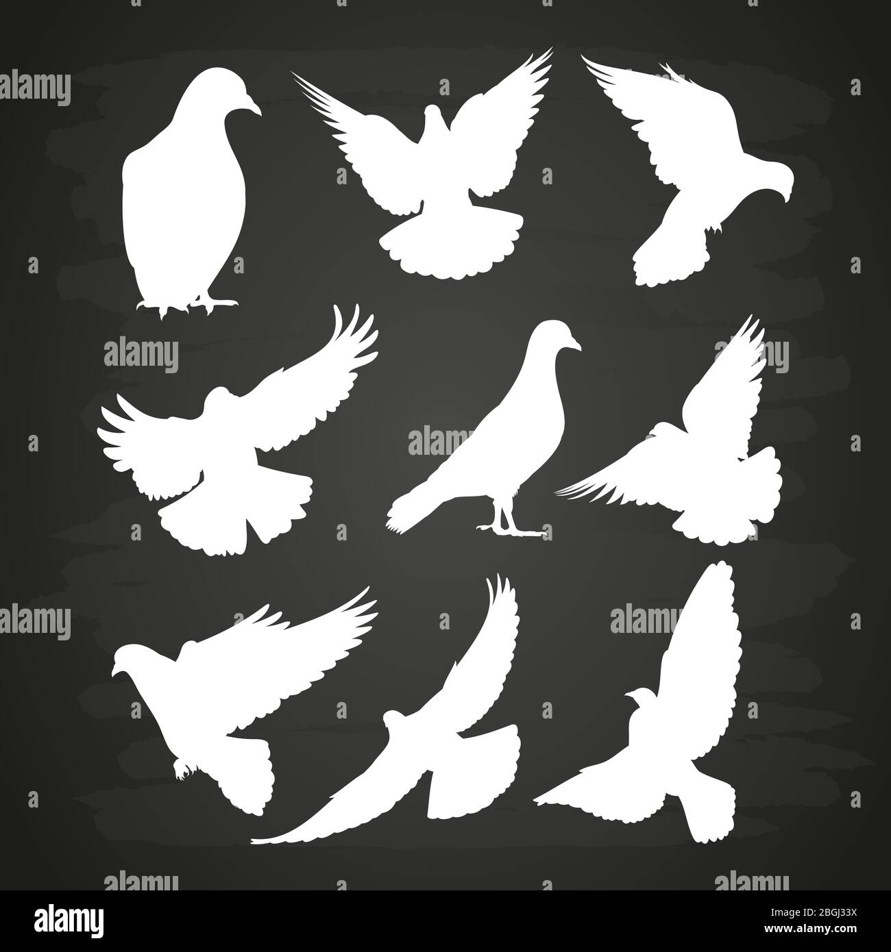 Weiße Taube Silhouette auf Tafel gesetzt. Illustration Vogeltaube Vektor-Sammlung Stock Vektor