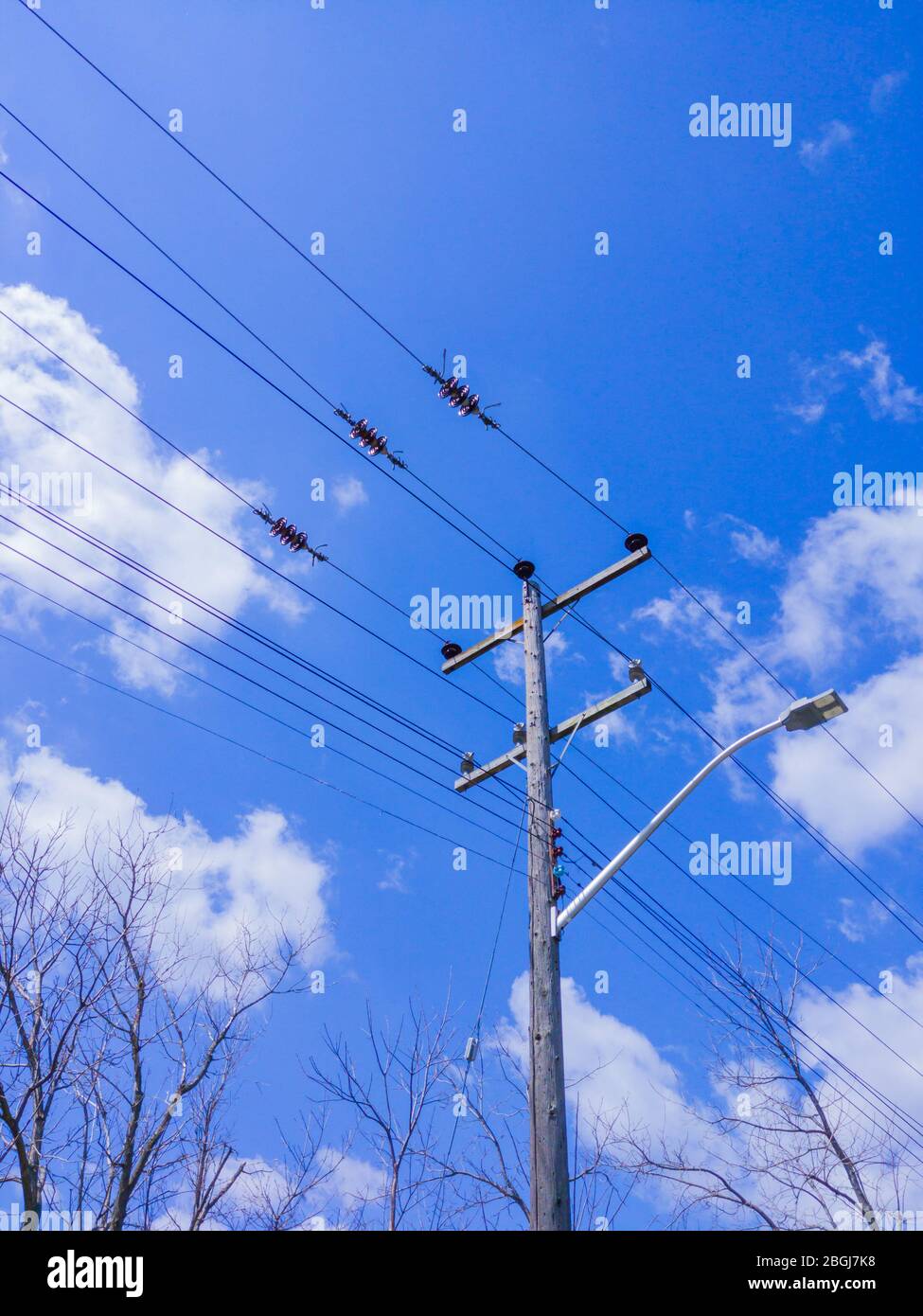 Elektrischer Holzübertragungsmast mit Straßenlicht und Stromleitungen über Ästen gegen Himmel und Wolken. Stockfoto