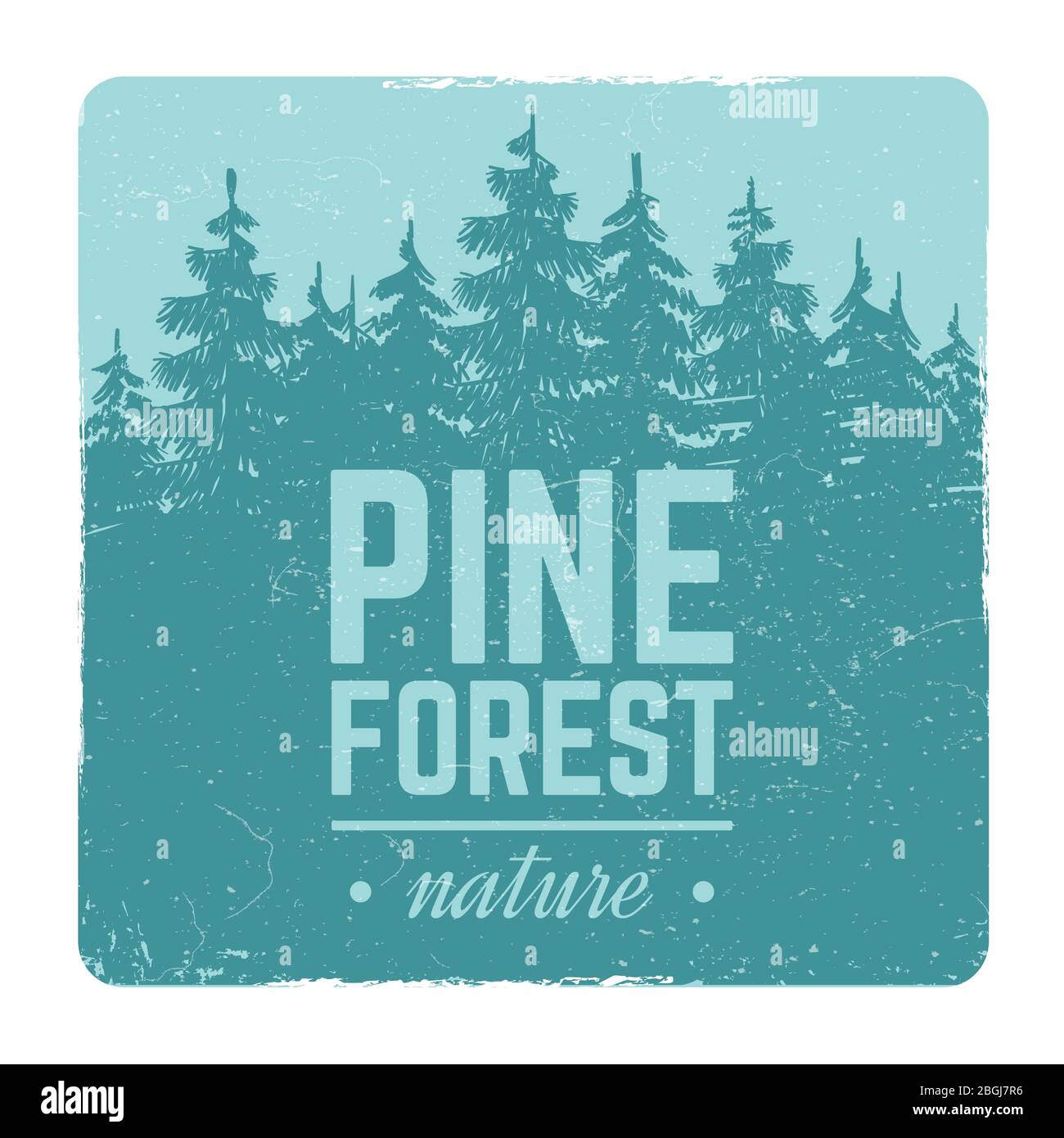 Skizze Vintage Banner und Poster Natur Kiefer und Tanne Wald Vektor Retro-Emblem mit Silhouette Bäume Illustration Stock Vektor