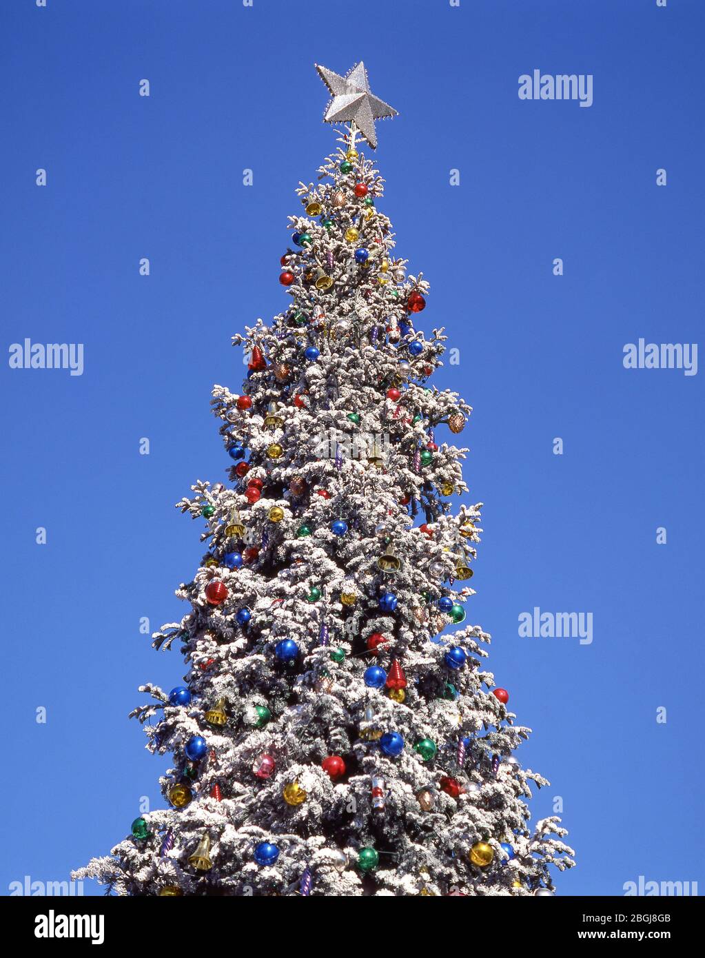 Dekorierter Weihnachtsbaum im Freien, Los Angeles, Kalifornien, Vereinigte Staaten von Amerika Stockfoto