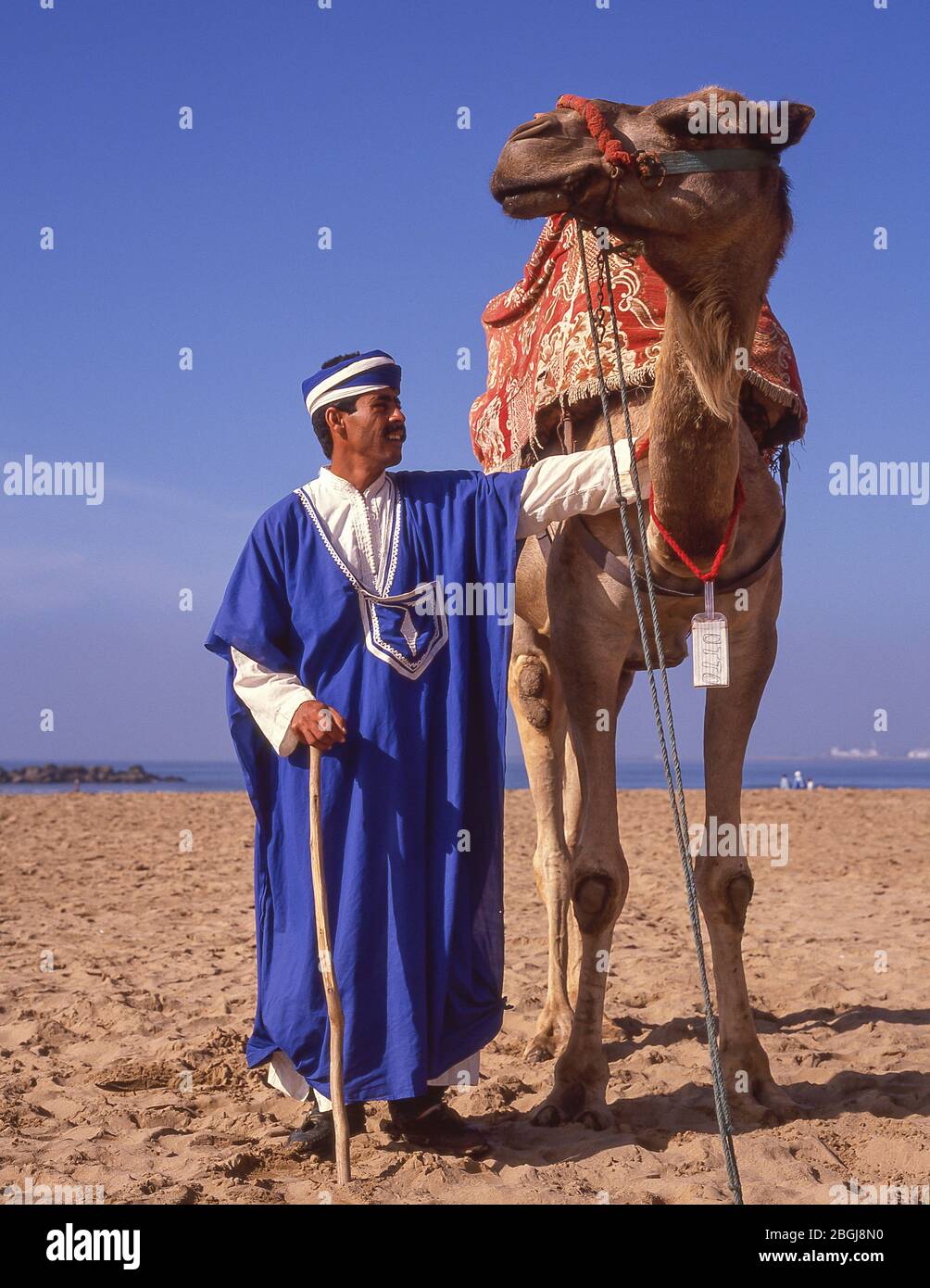 Kamelfahrer am Strand von Agadir, Agadir, Region Souss-Massa-Draâ, Marokko Stockfoto