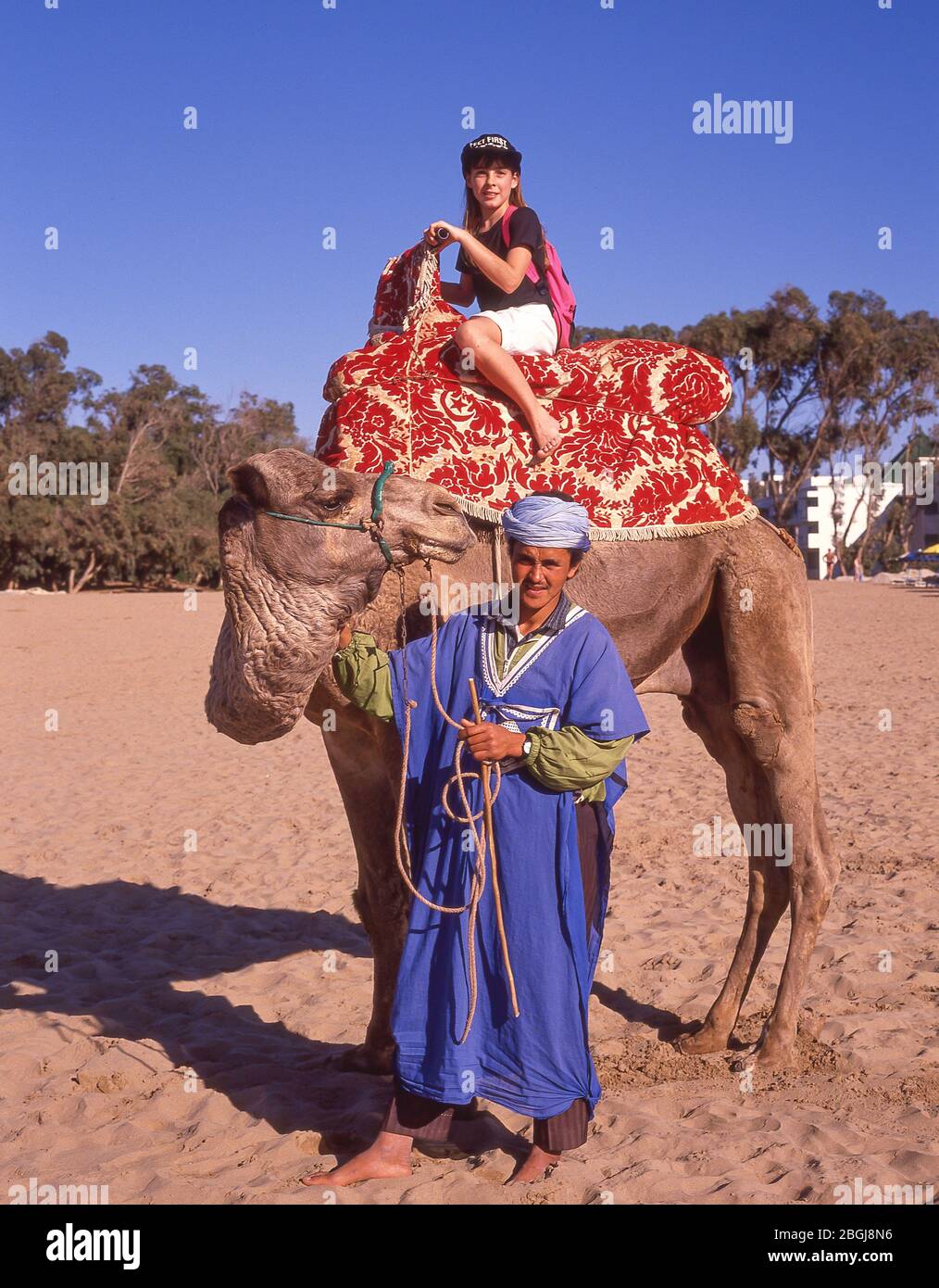 Kamelfahrer am Strand von Agadir, Agadir, Region Souss-Massa-Draâ, Marokko Stockfoto