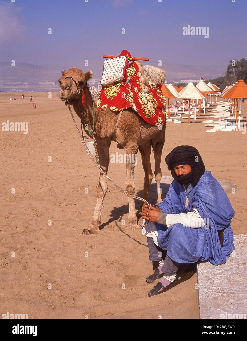 Kamelfahrer am Strand von Agadir, Agadir, Region Souss-Massa-Draâ, Marokko Stockfoto