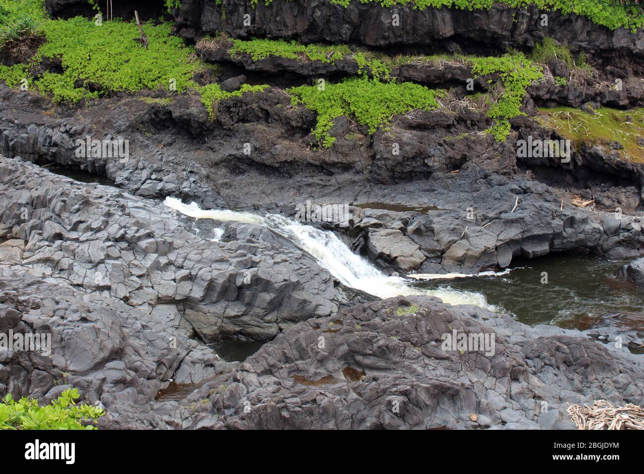 Ein Abschnitt des Palikea Stream, Oheo Gulch, Seven Sacred Pools, der durch Vulkangestein mit Scaevola Taccada Pflanzen läuft, die im Felsen wachsen, Maui, Hawa Stockfoto