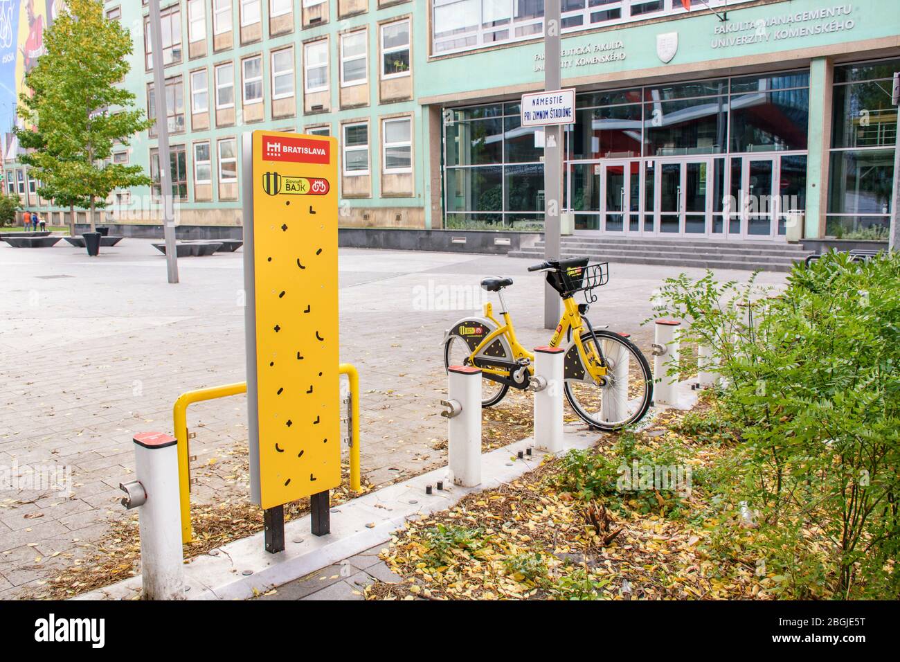 BRATISLAVA (SLOWAKEI) – OKTOBER 06 2019: Gelbe öffentliche Fahrräder in der Andockstation vor der Fakultät für Management der Comenius Universität gesperrt Stockfoto