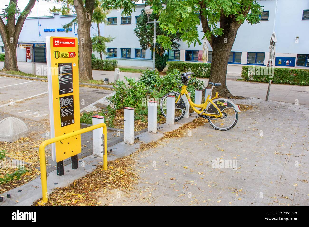 BRATISLAVA (SLOWAKEI) – OKTOBER 06 2019: Gelbes öffentliches Fahrrad in der Andockstation unter Baum in der Nähe des Parkplatzes gesperrt Stockfoto