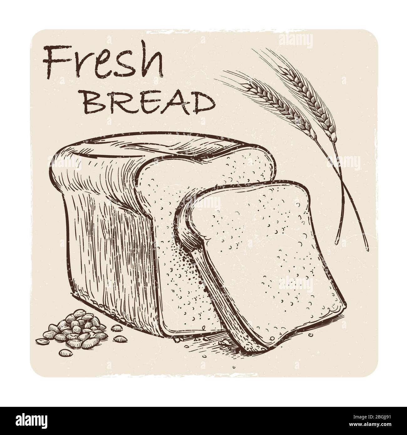 Grunge Skizze von frischem Brot, Getreide und Weizenohr. Vektorgrafik Stock Vektor