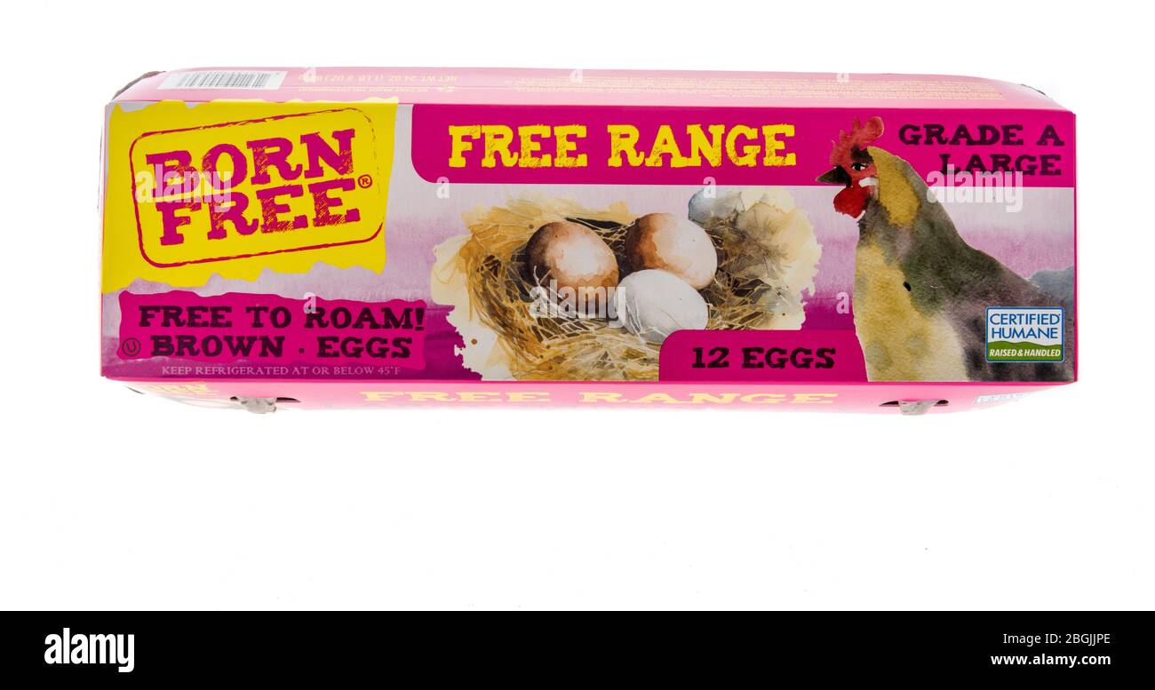 Winneconne, WI - 17 April 2020: Ein Paket von Born Free Dutzend Freilandeier von frei zu bewegen Hühner auf einem isolierten Hintergrund. Stockfoto