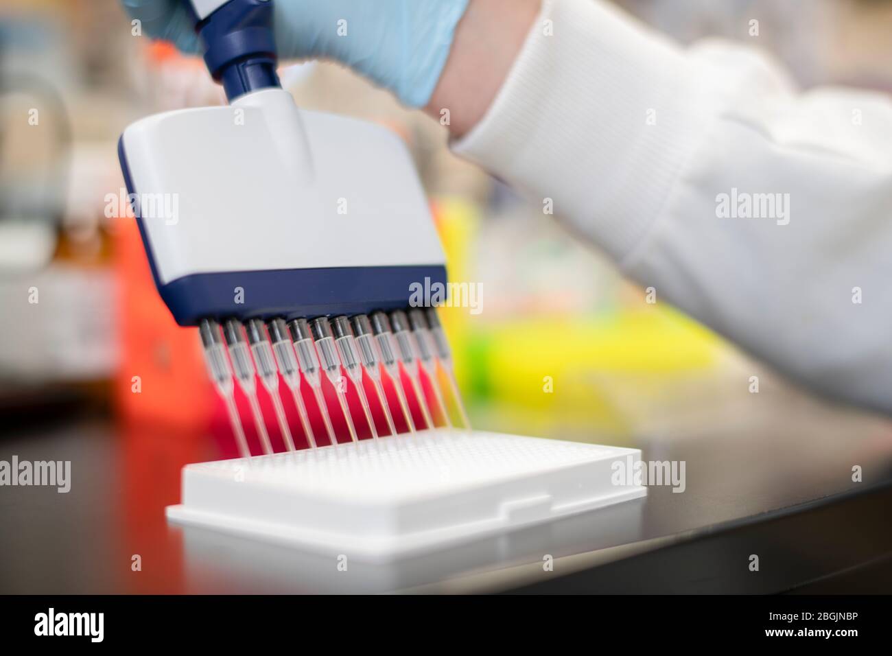 Nahaufnahme einer Mehrkanalpipette in einem Life Science-Labor Stockfoto