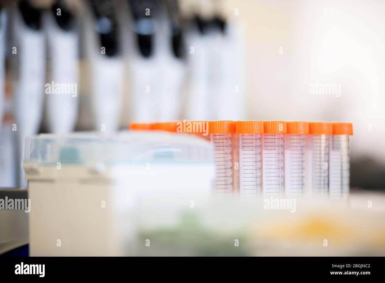Rack von leeren viles in einem Biotech Life Science Labor Stockfoto