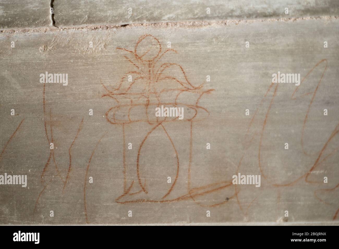 Urbino, Palazzo Ducale, Cappella del Perdono Stockfoto