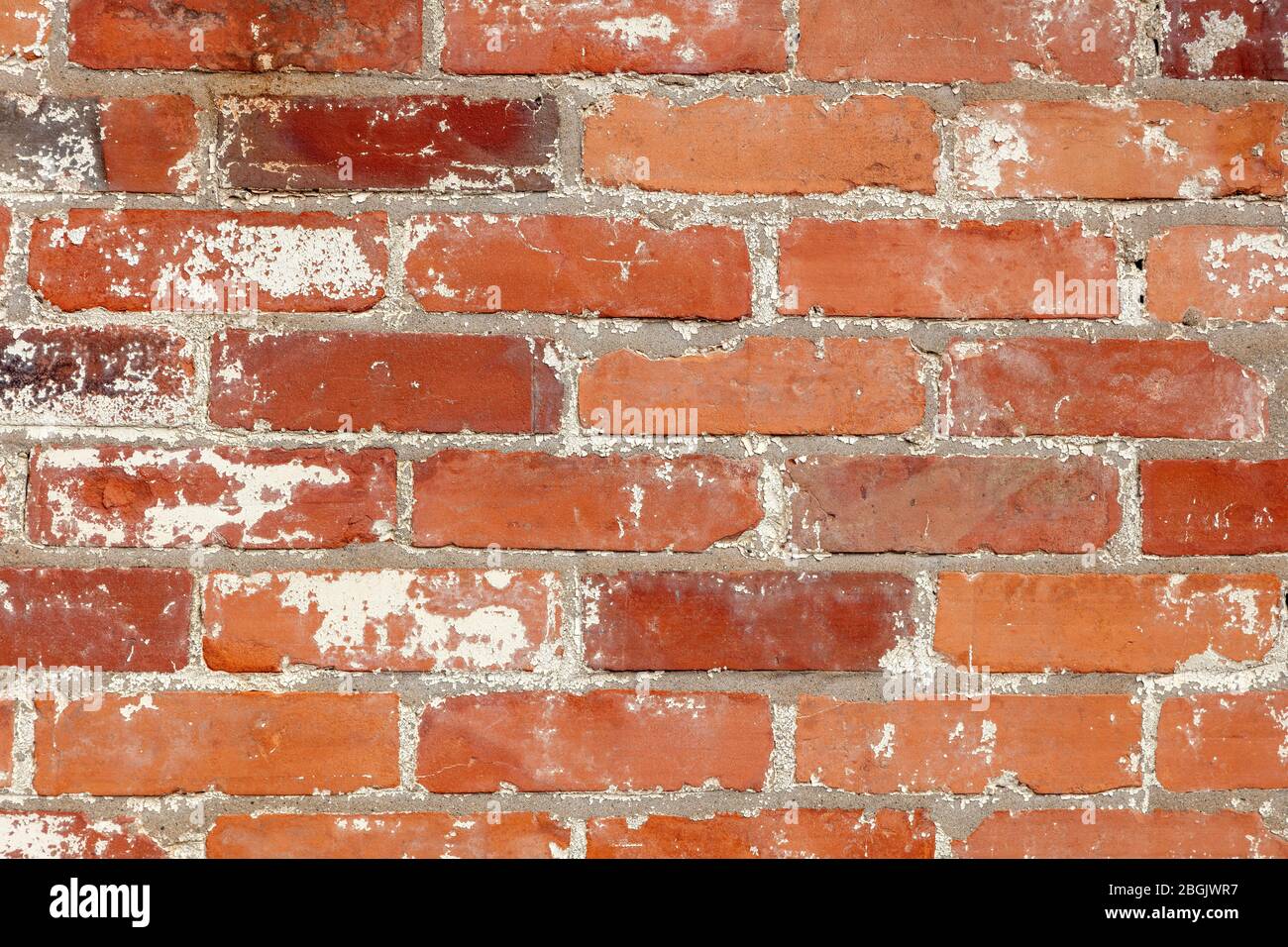 Ziegelwand, von James D Coppinger/Dembinsky Photo Assoc Stockfoto