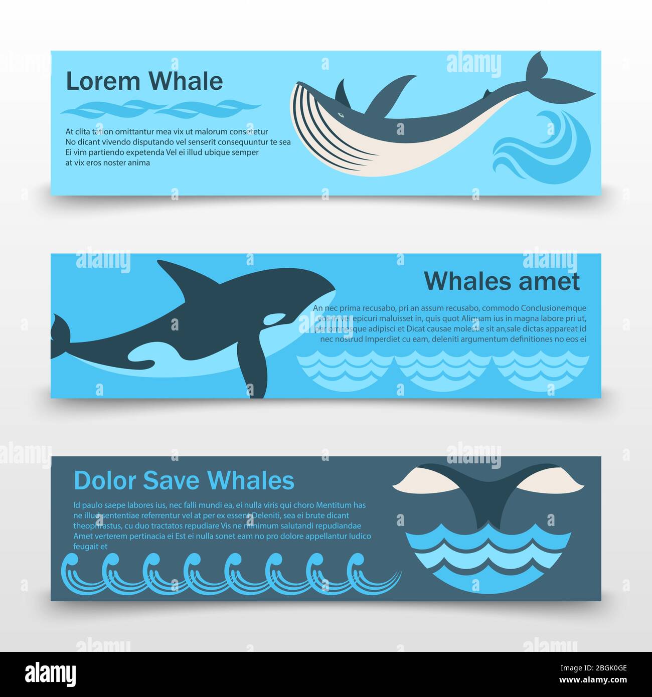 Horizontale Banner oder Poster-Vorlage für Wildwale isoliert. Vektorgrafik Stock Vektor