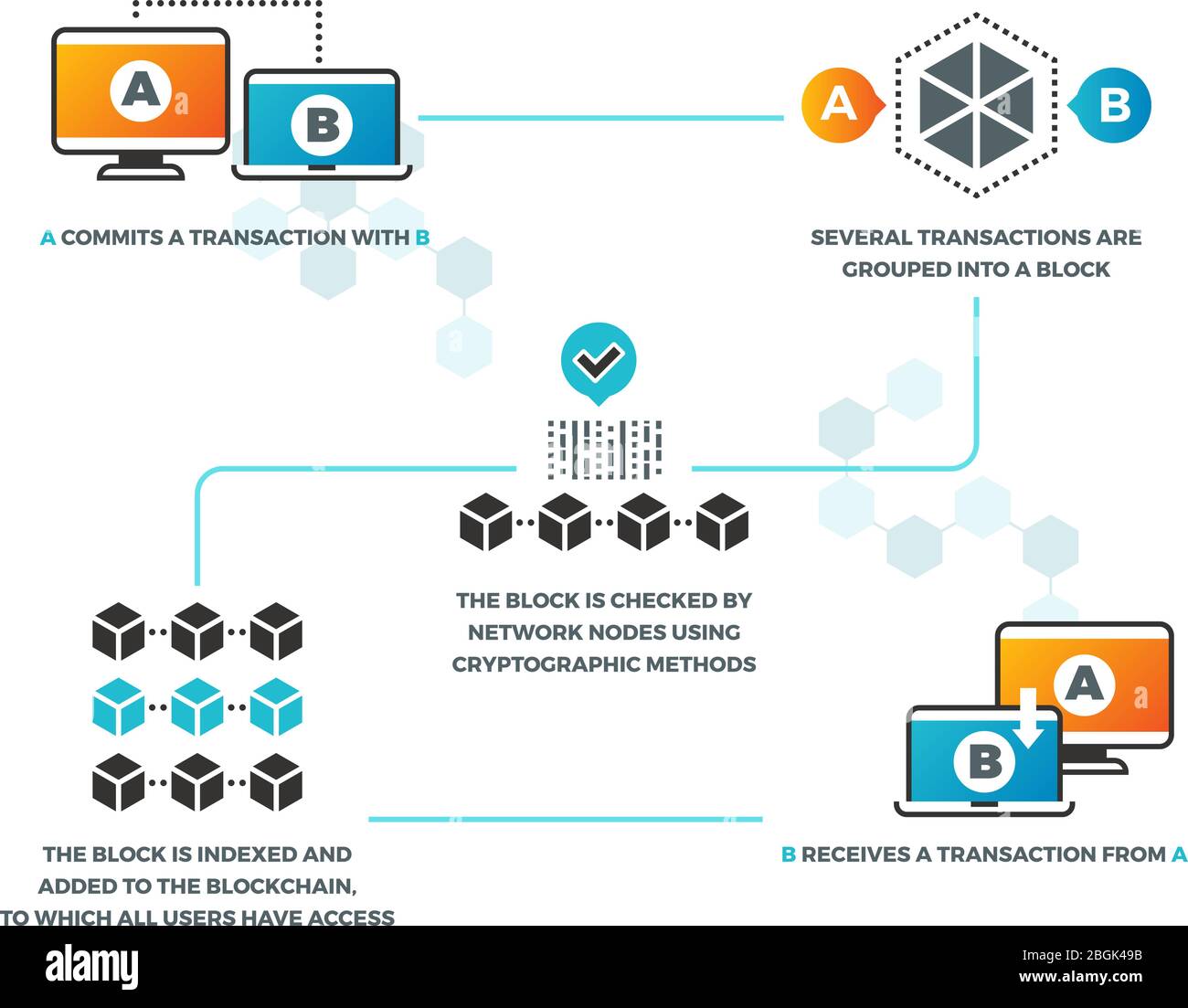 Smart-Vertrag. Wie Smart Contracts in Blockchain mit Kryptowährung  funktionieren. Unternehmensnetzwerke, digitale Vektorinfografiken zur  Validierung. Abbildung der Web-Zahlung für die Kommunikation mit dem  Geschäftssystem Stock-Vektorgrafik - Alamy