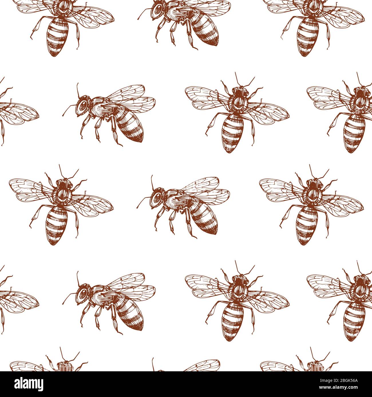 Honigbiene nahtloses Muster. Vintage Doodle Skizze Wrapping Vektor Hintergrund. Illustration von Bieneninsekt, Vintage nahtloses Muster Stock Vektor