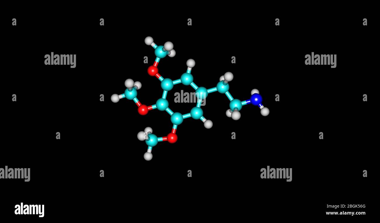 Mescalin ist ein natürlich vorkommendes psychedelisches Alkaloid der Phenethylamin-Klasse, das für seine halluzinogenen Wirkungen bekannt ist, die mit denen von LSD vergleichbar sind. Stockfoto