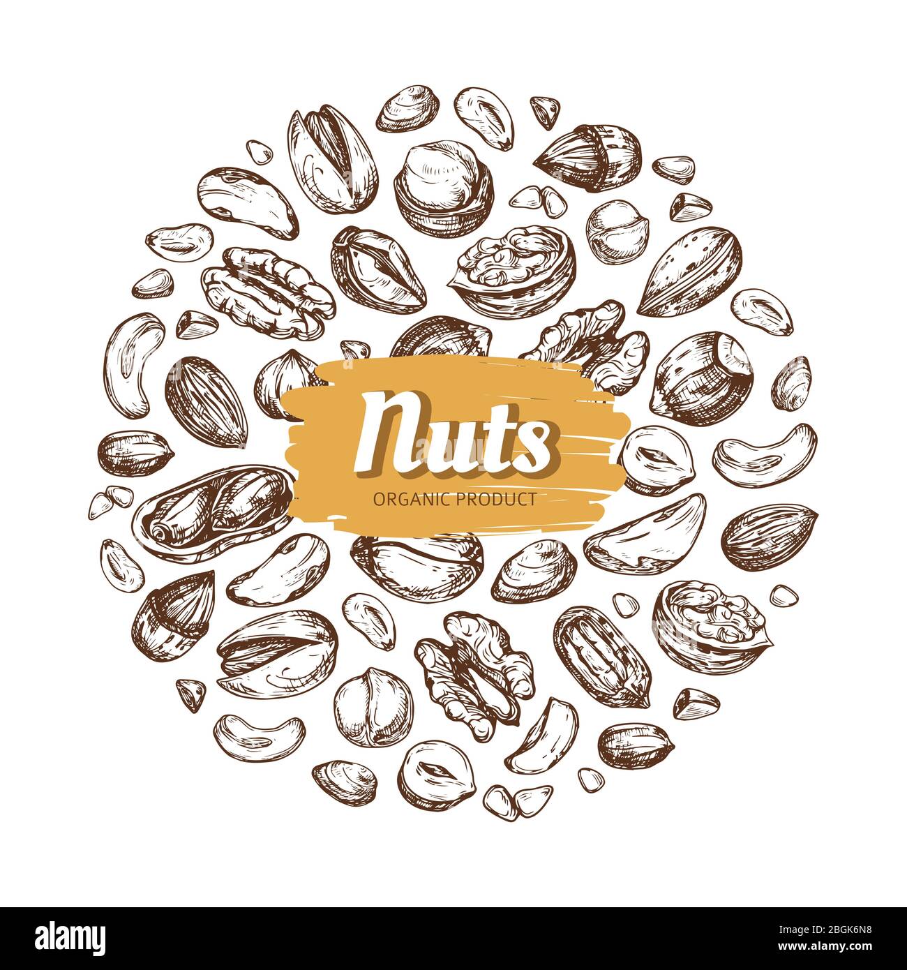 Etikett für die Essensmutter. Hand gezeichnete Nüsse und Samen Vektor-Emblem auf weißem Hintergrund isoliert. Natürliche Zeichnung Nußschale Abzeichen Illustration Stock Vektor