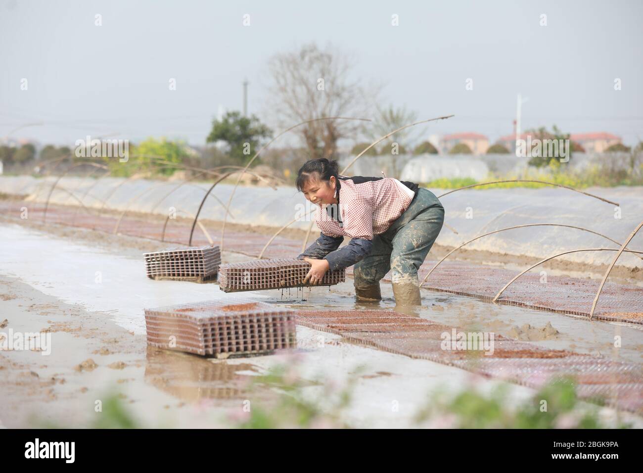 Die Bauern arbeiten auf dem Feld, um den Boden zu niffen und zu säen, wenn der Frühling kommt und das Wetter aufwärmt, im Dorf Taijiu, in der Stadt Taiyuan, im Landkreis Hngyang, Hengyang Stockfoto