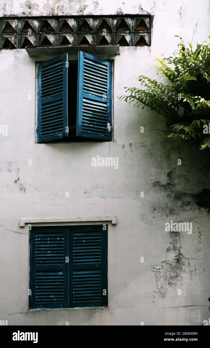 Blick auf das Außenhaus mit alten Holzfenster und Farnpflanze wachsen an der Wand in Ho Chi Minh Stadt, Vietnam am Tag Stockfoto