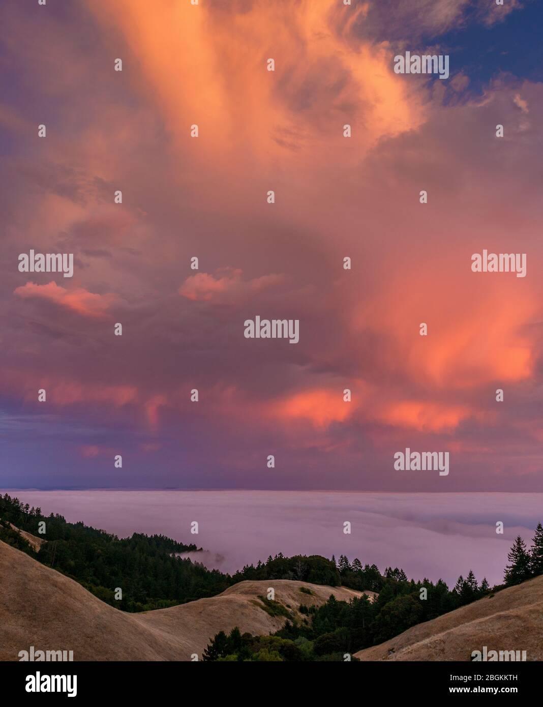 Sonnenuntergang, Küstennebel, Bolinas Ridge, Mount Tamalpais State Park, Golden Gate National Recreation Area, Marin County, Kalifornien Stockfoto