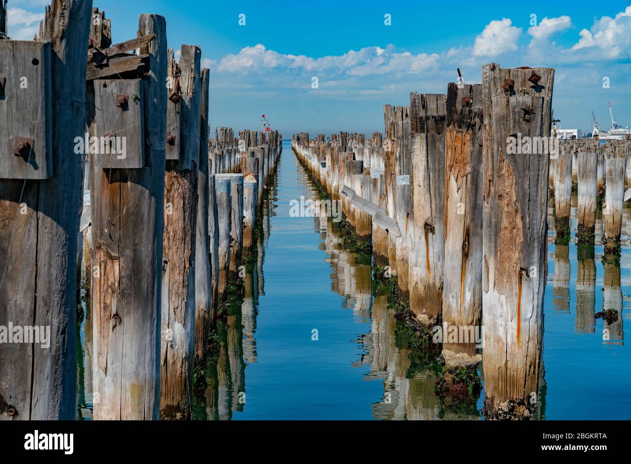 Princes Pier Überreste historischer Piers in Reihen, die in die Bucht von Melbourne Harbour, Australien, ragen und reflektiert werden. Stockfoto