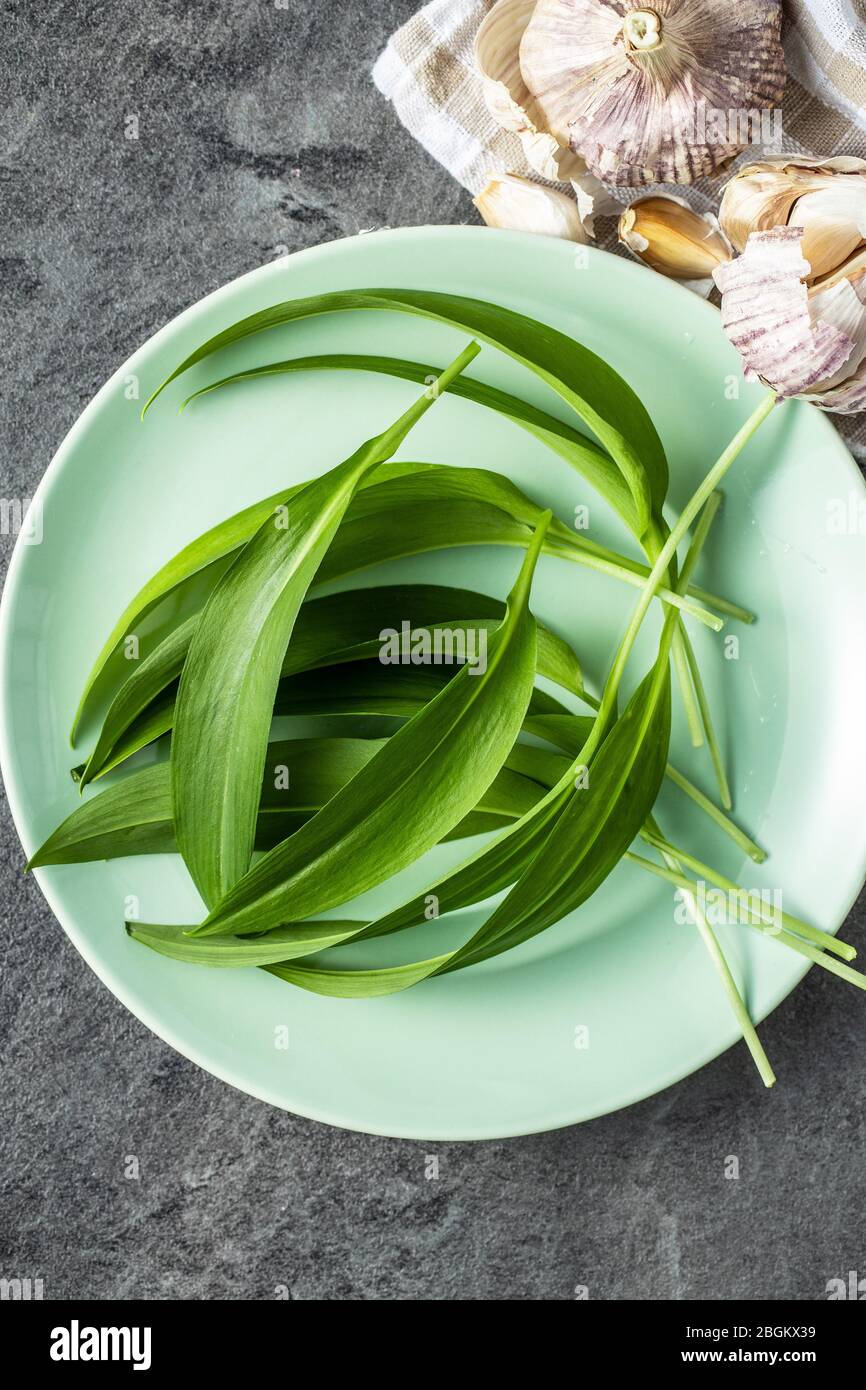 Grüne Bärlauch Blätter auf grüner Platte. Draufsicht. Stockfoto