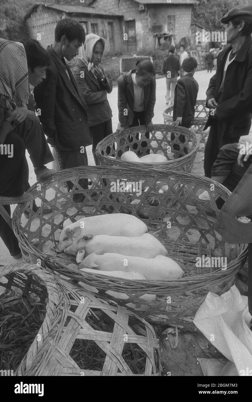 Im Mai 2005 fand der Schweinemarkt auf dem Basar in der Gemeinde Fazhe im Bezirk Dongchuan, Stadt Kunming, Provinz Yunnan statt Stockfoto