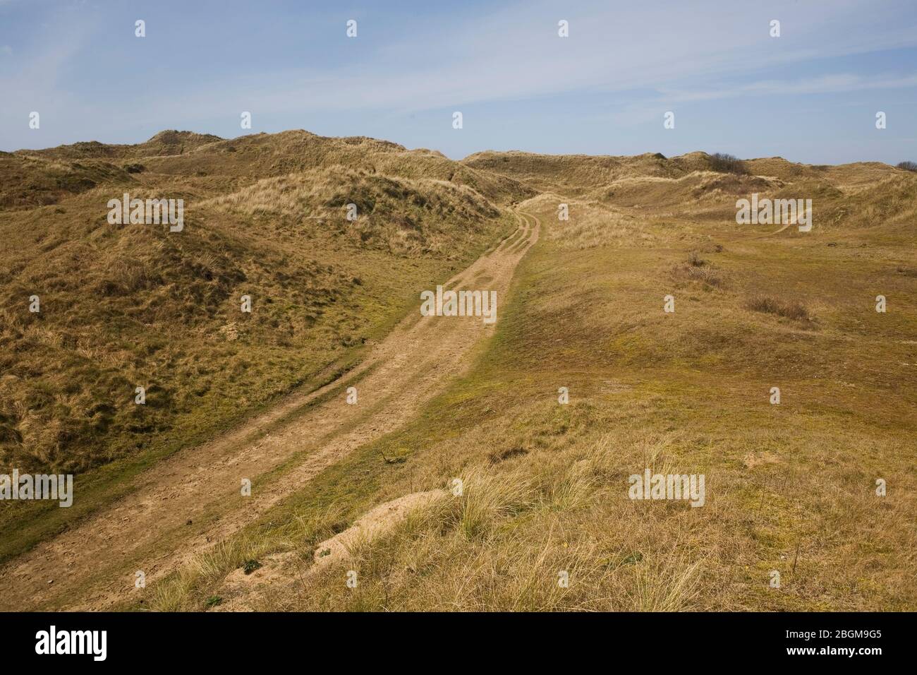 Breiter Weg durch die grasbewachsenen Dünen im Merthyr Mawr Naturschutzgebiet Stockfoto