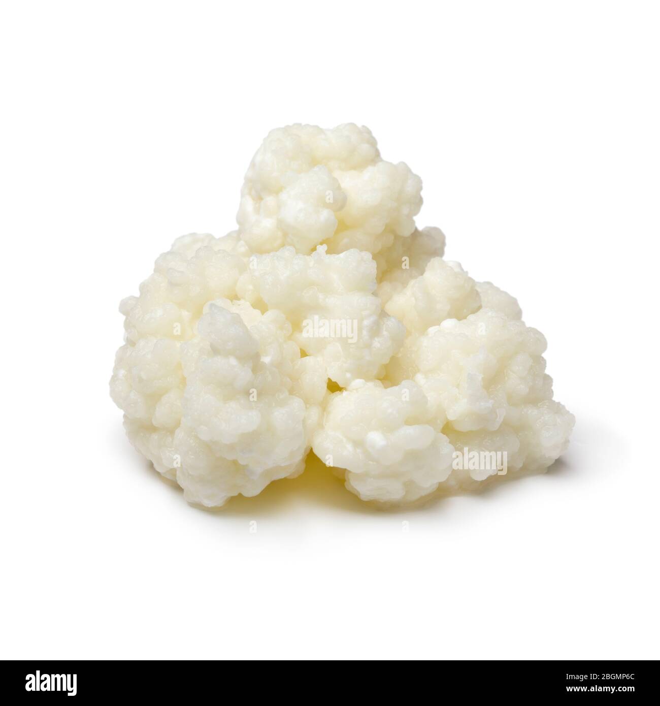Bio probiotische Milch Kefir Körner auf weißem Hintergrund isoliert Stockfoto