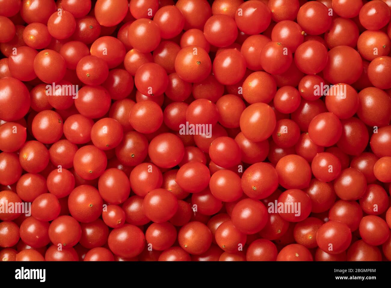 Frische rote Tombertomaten schließen den ganzen Rahmen Stockfoto