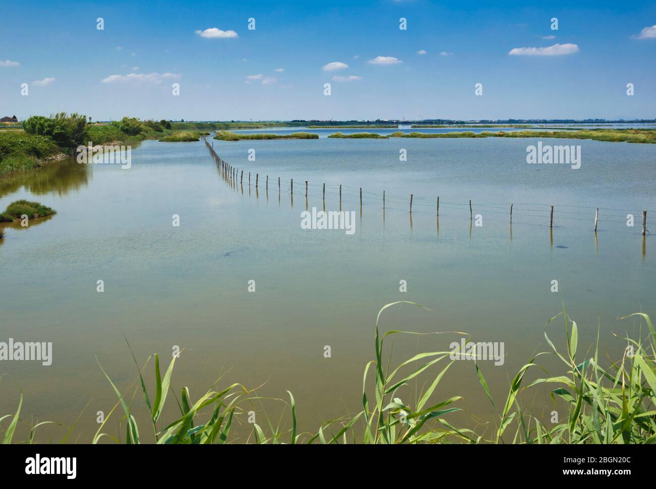 Das Po-Delta, Provinz Rovigo, Venetien, Italien. Feuchtgebiete im Parco Regionale Veneto del Delta del Po oder im Regionalpark Venetien des Po-Deltas. Stockfoto