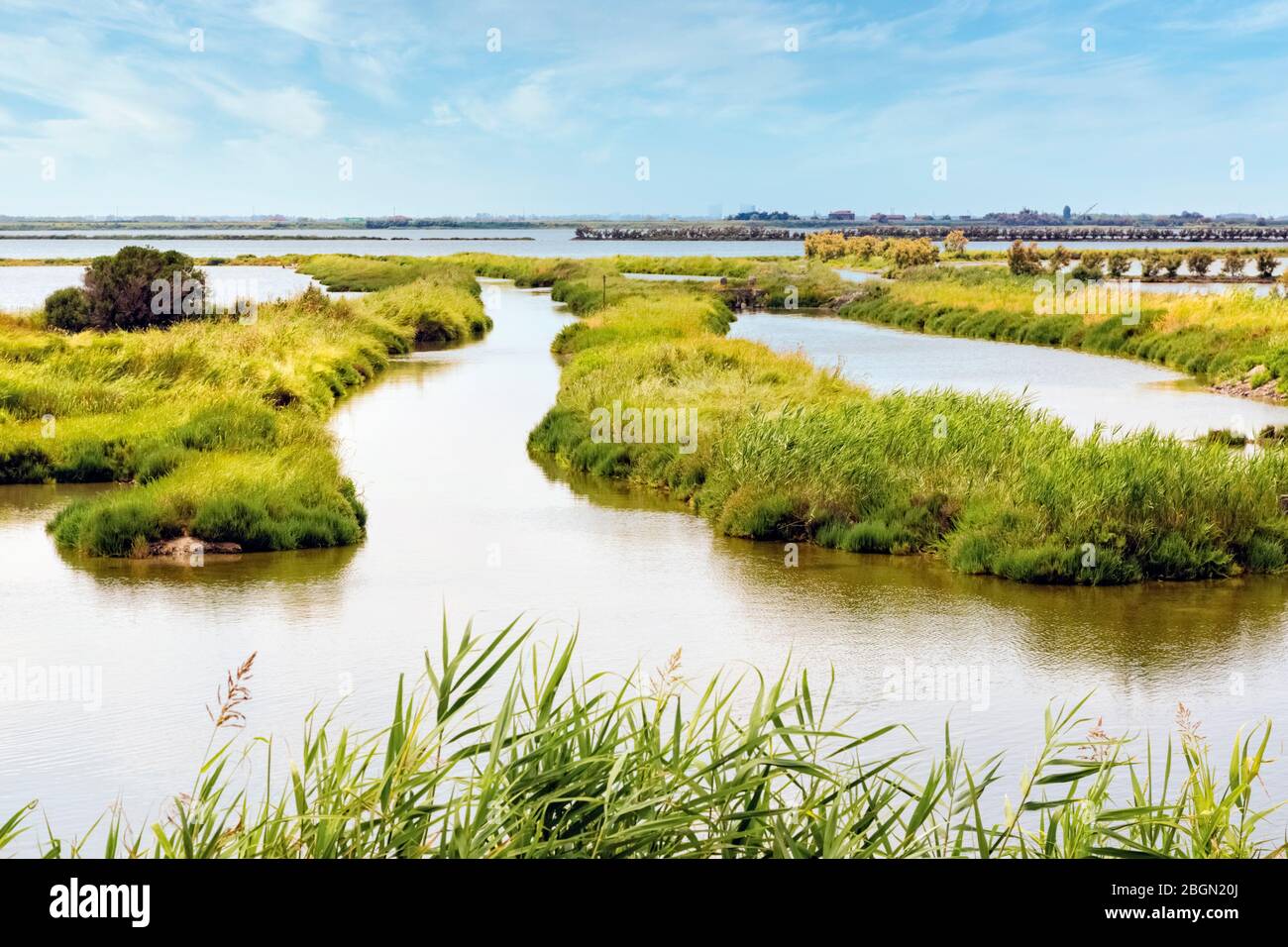 Das Po-Delta, Provinz Rovigo, Venetien, Italien. Feuchtgebiete im Parco Regionale Veneto del Delta del Po oder im Regionalpark Venetien des Po-Deltas. Stockfoto