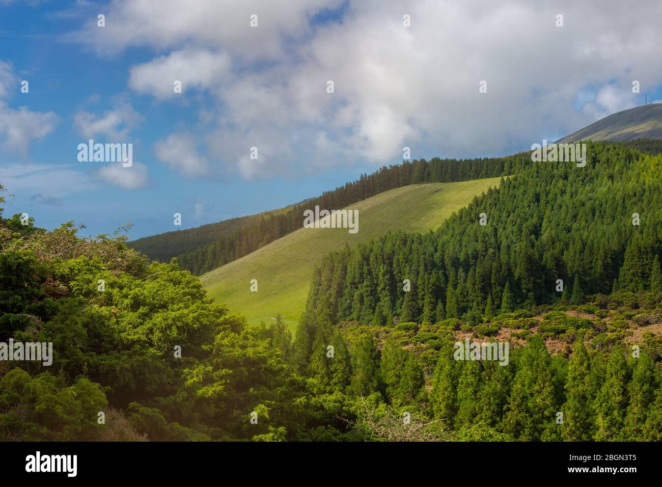 Hügel über Feldern. Terceira Insel auf den Azoren mit blauem Himmel und Wolken. Stockfoto