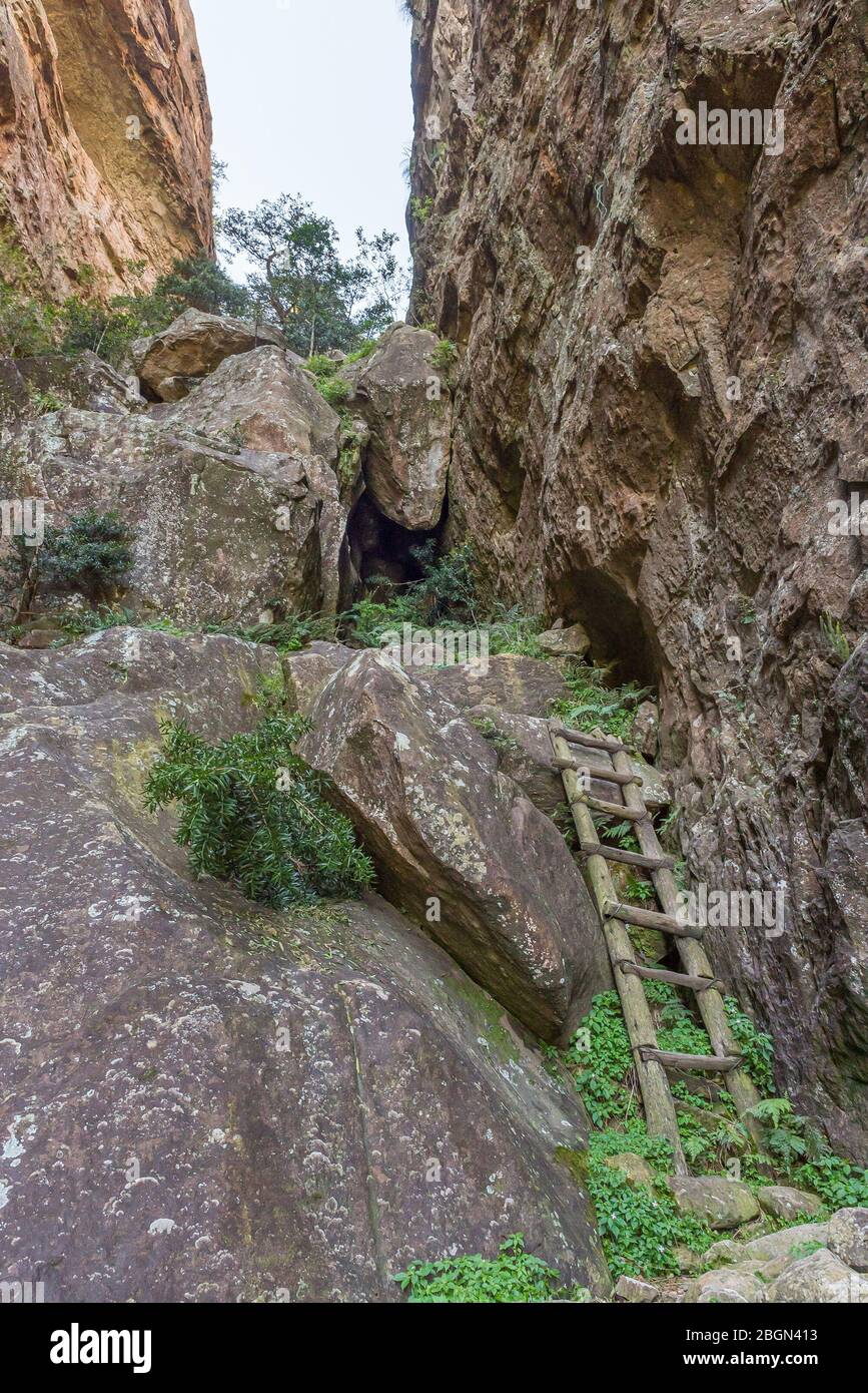 Eine Holzleiter im Crack bei Mahai im Drakensberg Stockfoto