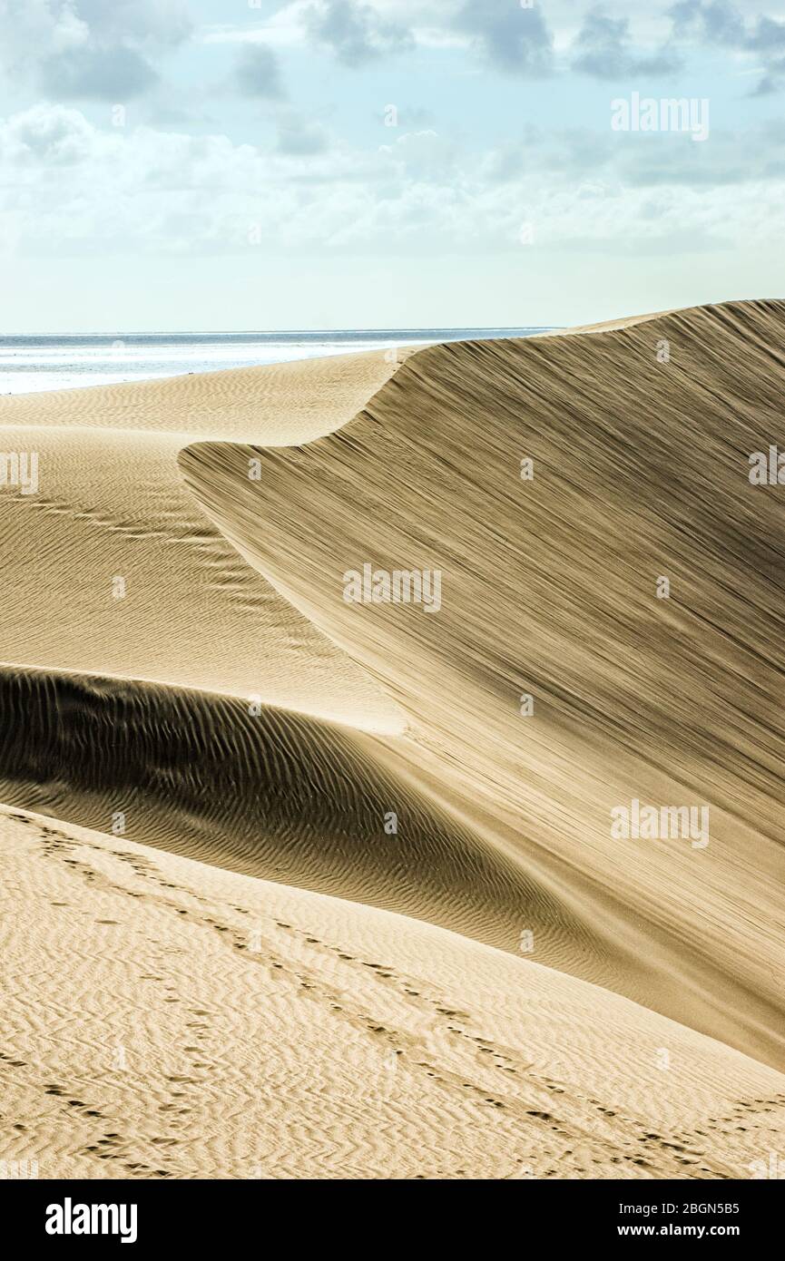 Sand-Dünen von Maspalomas, Puerto del Inglés, Gran Canaria, Kanarische Inseln, Spanien Stockfoto