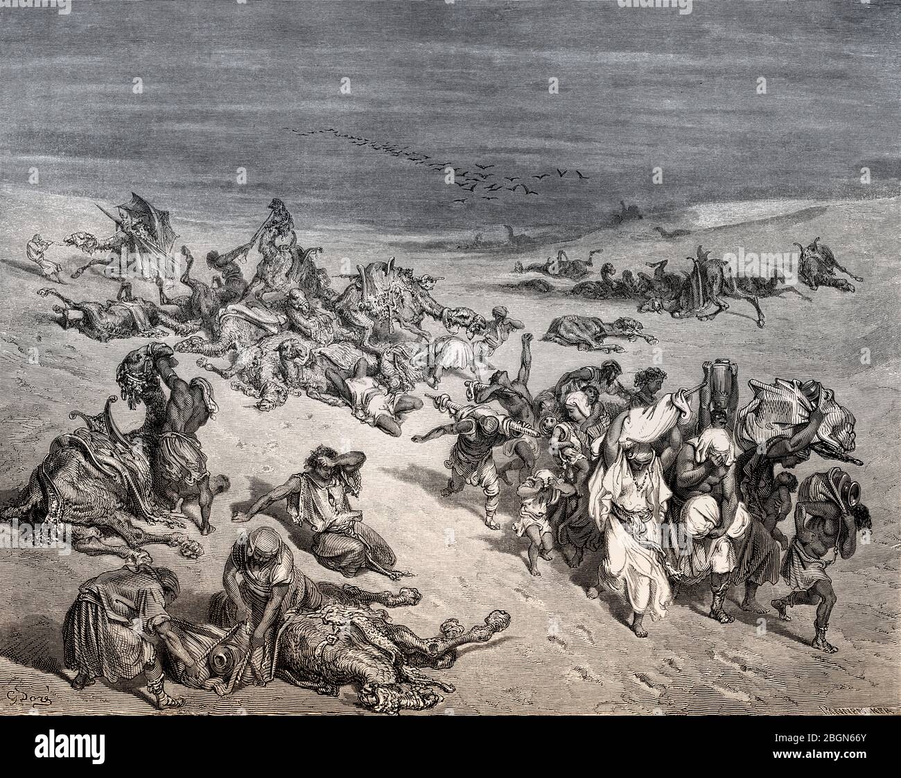 Das Gemurmel der Tiere, die fünfte Pest: Tierseuche, Holzschnitt von Gustave Doré Stockfoto