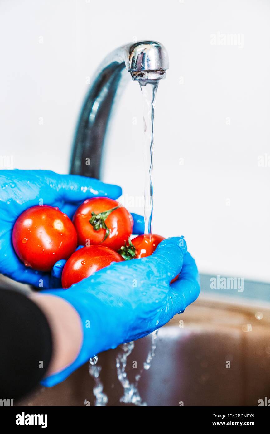 Hände mit blauen Latexhandschuhen desinfizieren Tomaten, um die Früchte von Coronavirus zu dekontaminieren. Waschen Sie die Früchte in der Spüle mit Wasser und l Stockfoto