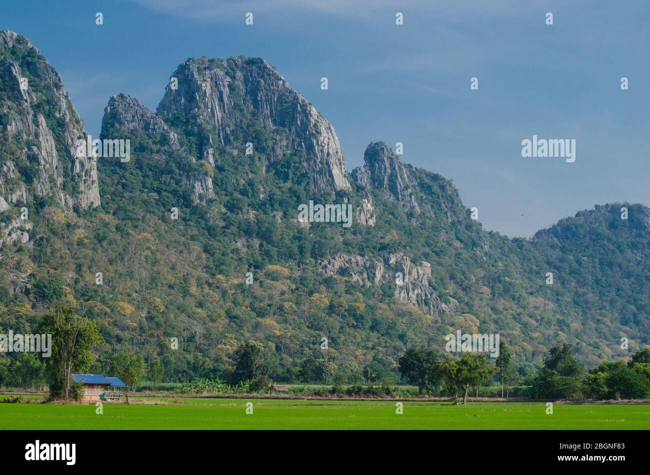 Kao Nor Kao Kawg ist ein Kalksteinberg in der Provinz Nakon sawan und hat einen grünen Reisig, blauen Himmel Stockfoto