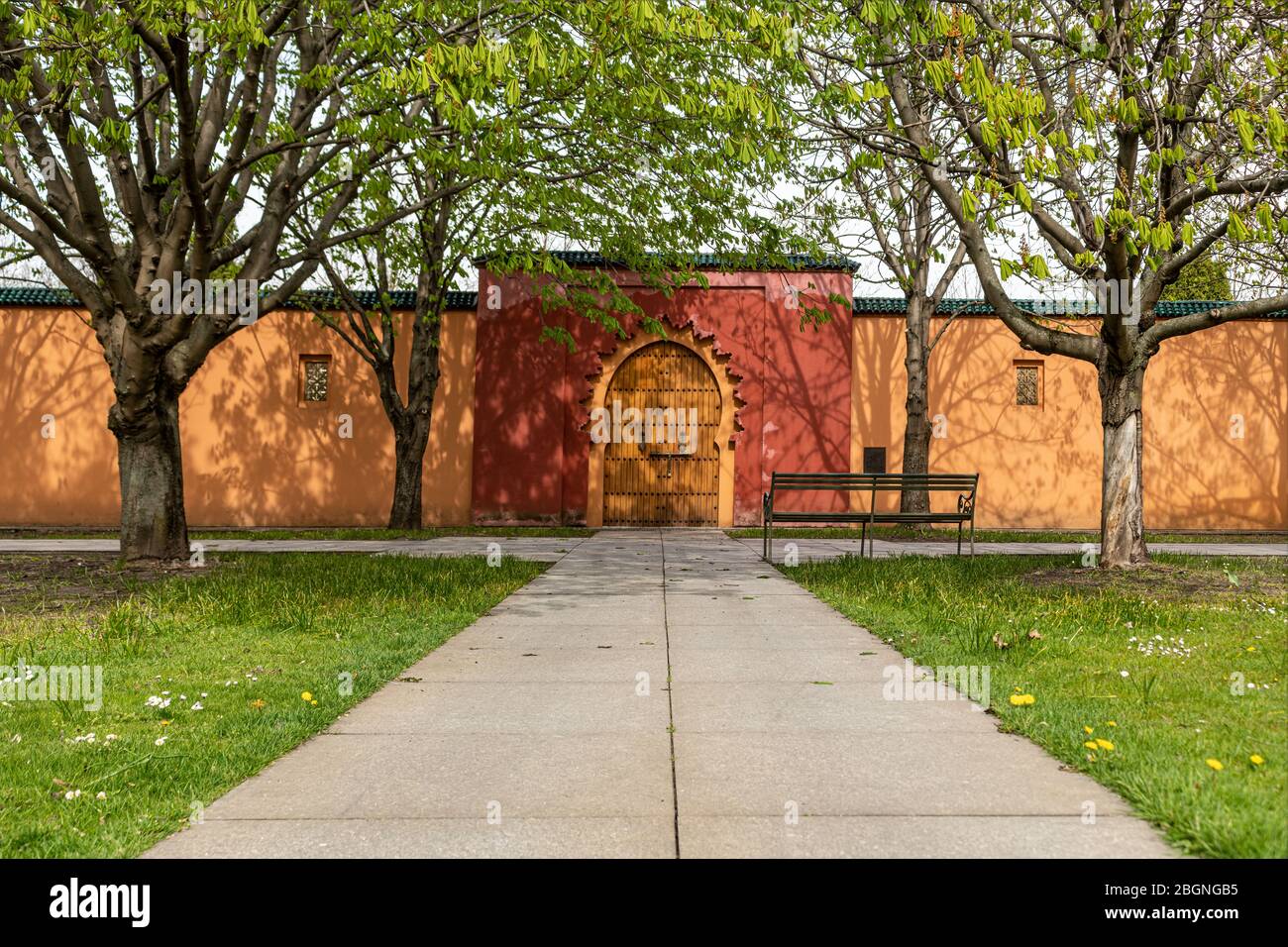 Alte Holztür in einem arabischen Garten Stockfoto