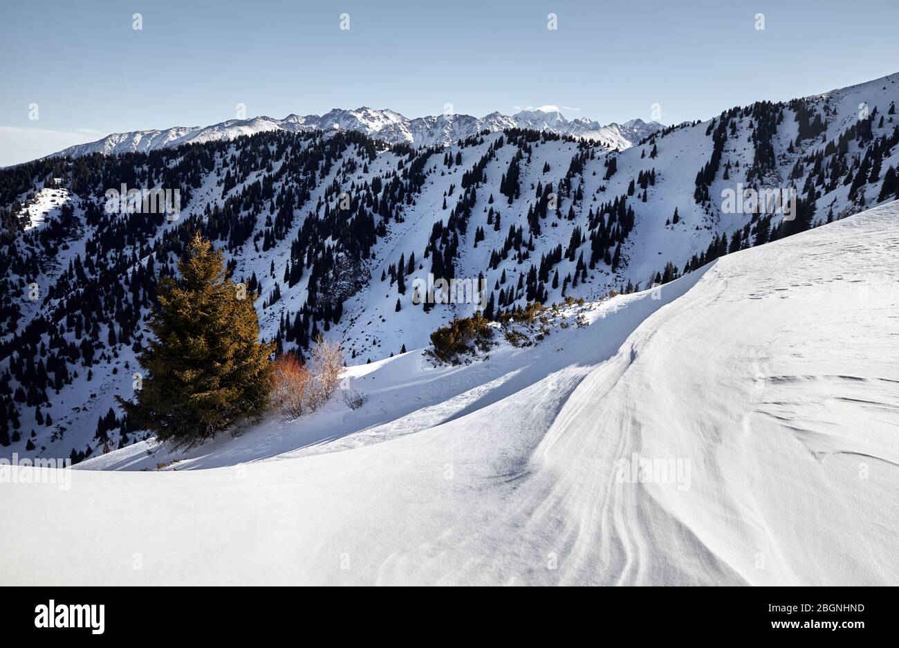 Hohe Berge mit Schnee und hohe Gipfel im Winter Stockfoto
