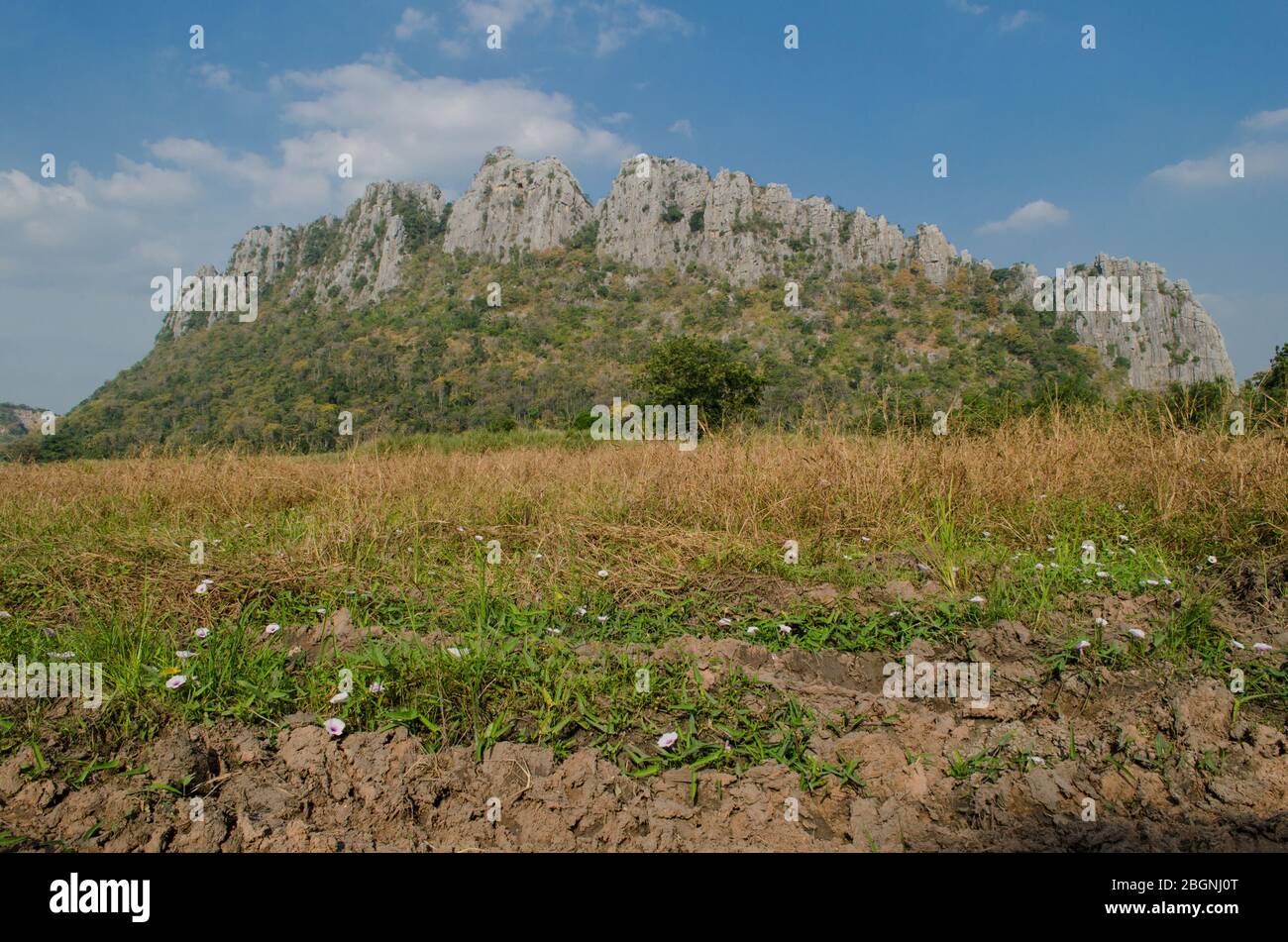 Kao Nor Kao Kawg ist ein Kalksteinberg in der Provinz Nakon sawan und hat einen grünen Reisig, blauen Himmel Stockfoto