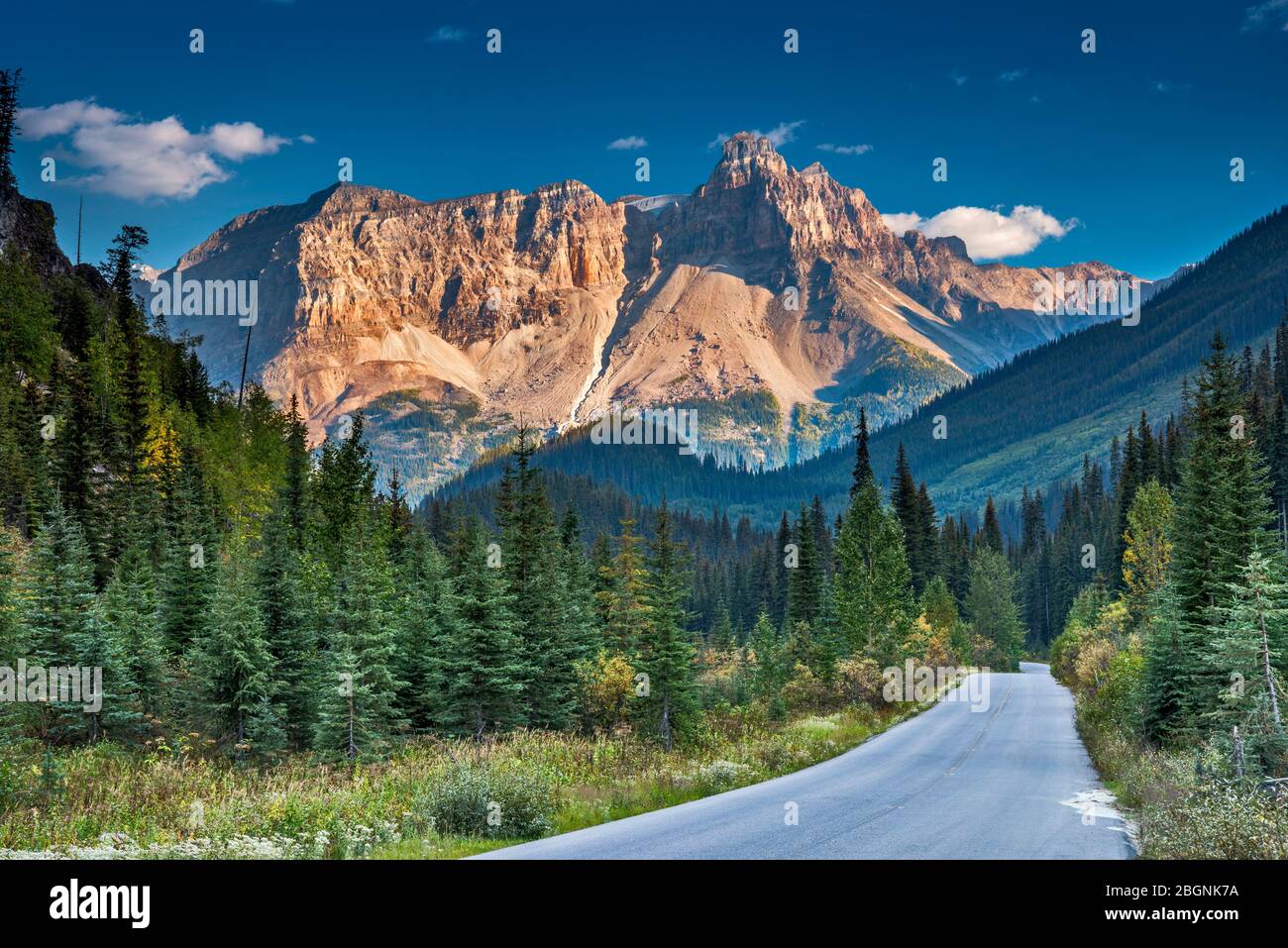 Cathedral Crags & Cathedral Mountain, von Yoho Valley Road, Canadian Rockies, Yoho National Park, British Columbia, Kanada Stockfoto