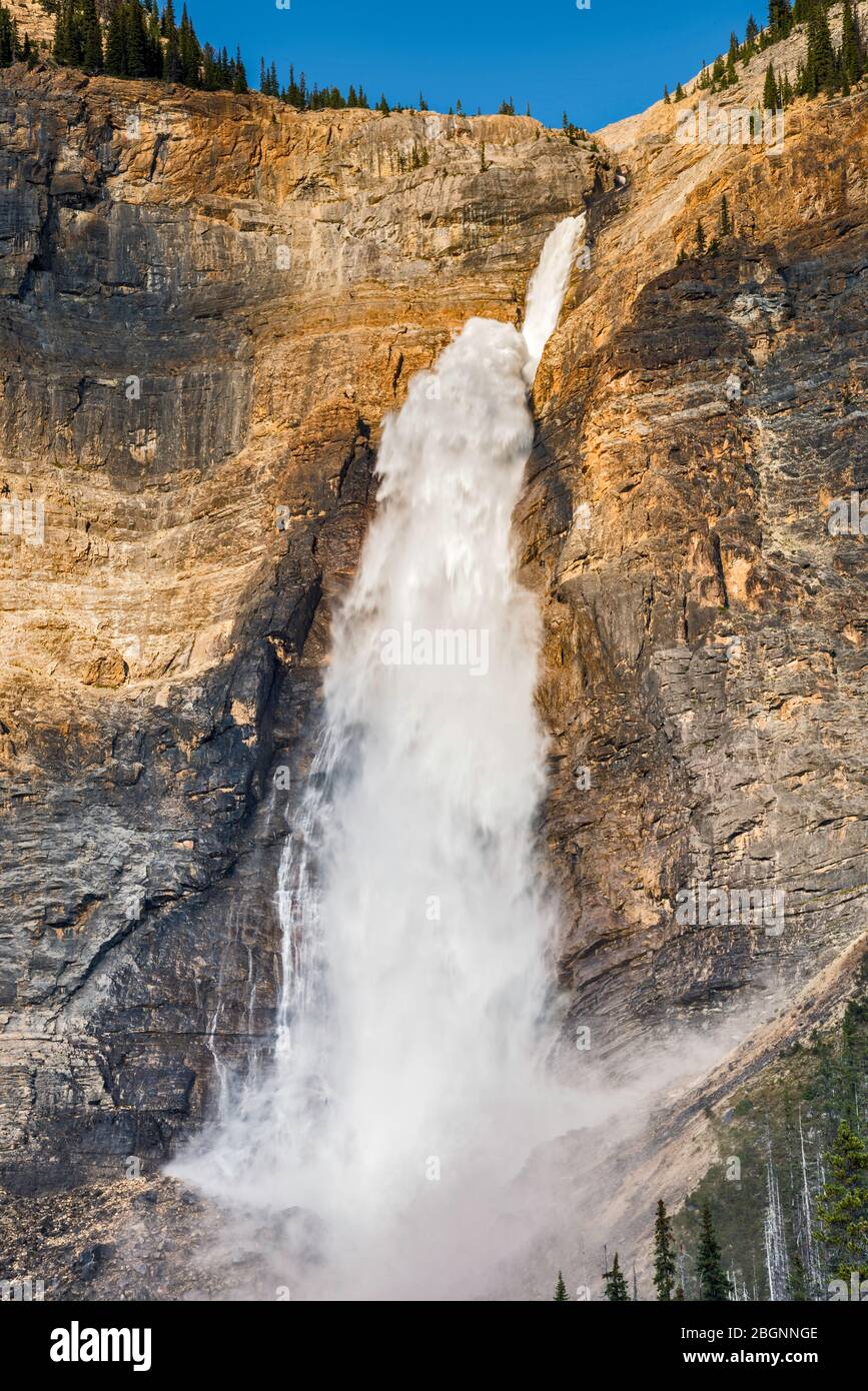 Takakkaw Falls, Canadian Rockies, Yoho National Park, British Columbia, Kanada Stockfoto