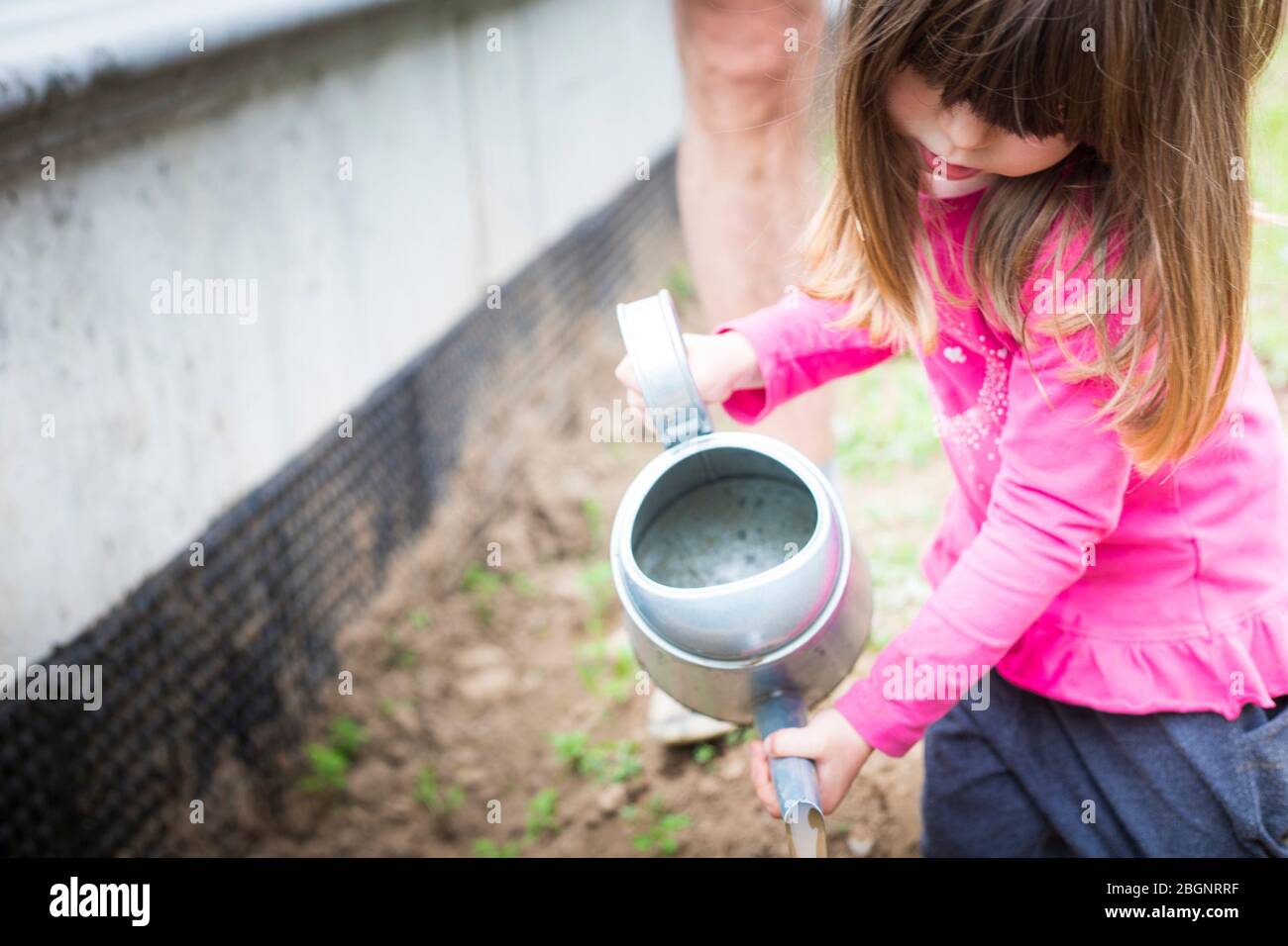 Kleines Mädchen mit Gummistiefeln Bewässern Pflanzen im Garten. Hausanbau und Gartenarbeit ist eine gute Aktivität Idee für Kinder während covid-19 Pfanne Stockfoto