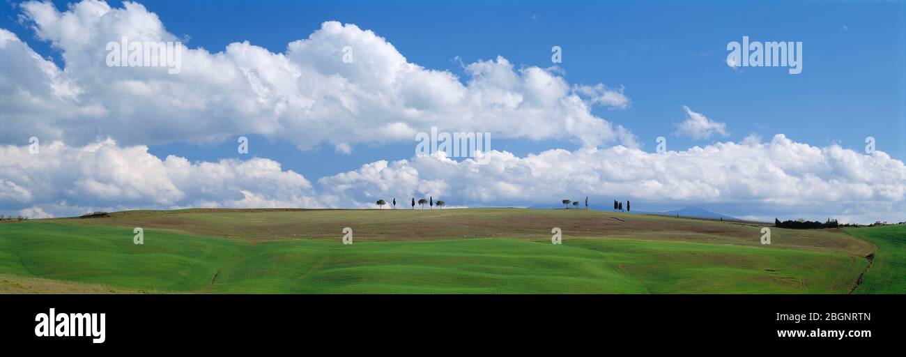 Italien. Toskana. Blauer Himmel über grünen Hügeln. Stockfoto