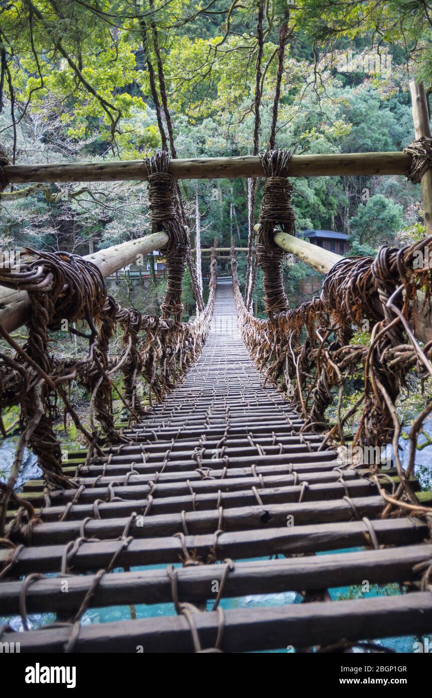 Die Iya Kazurabashi Vine Bridge aus Actinidia arguta (und Stahlseil) in Tokushima, Shikoku Japan Stockfoto