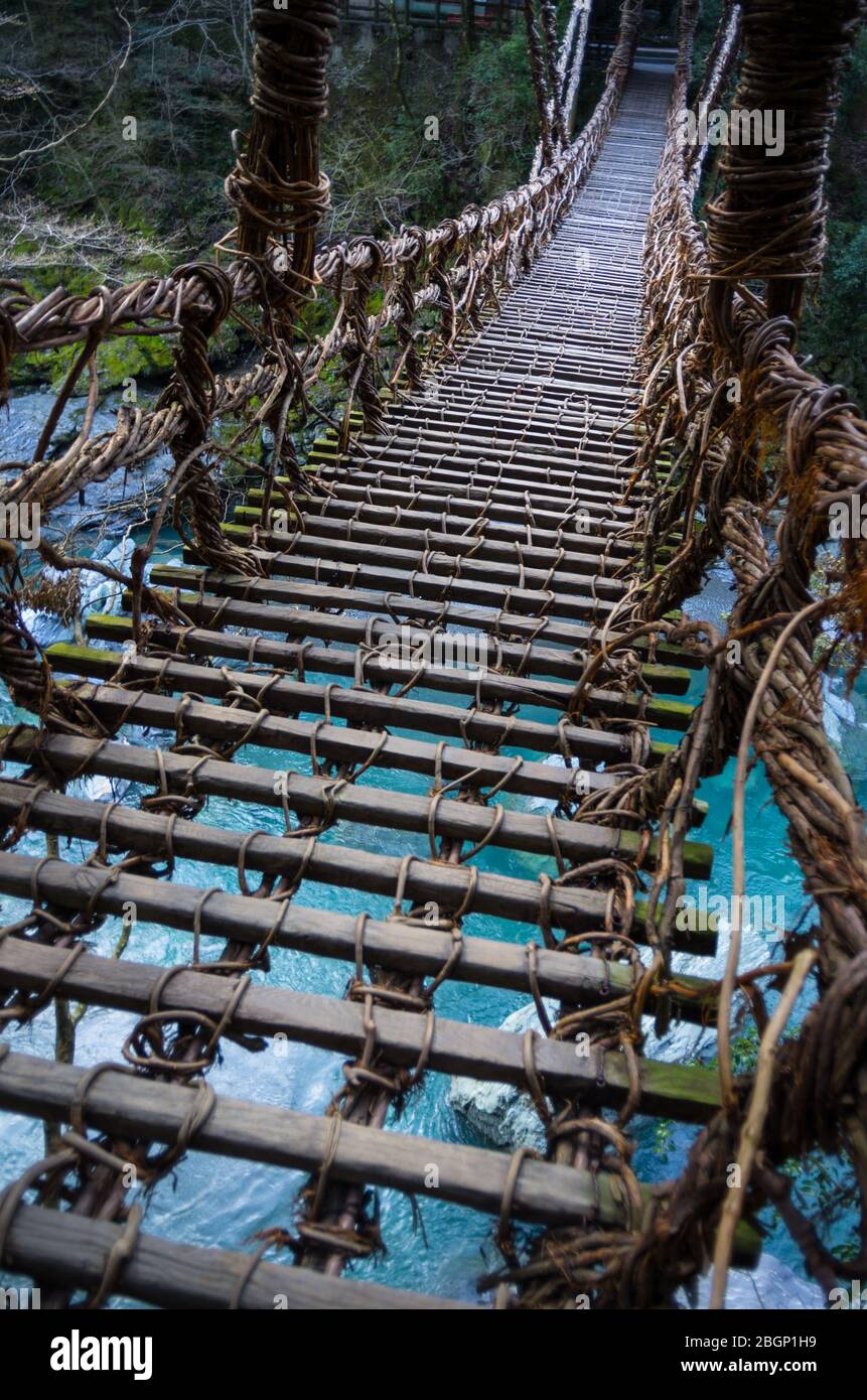 Die Iya Kazurabashi Vine Bridge aus Actinidia arguta (und Stahlseil) in Tokushima, Shikoku Japan Stockfoto