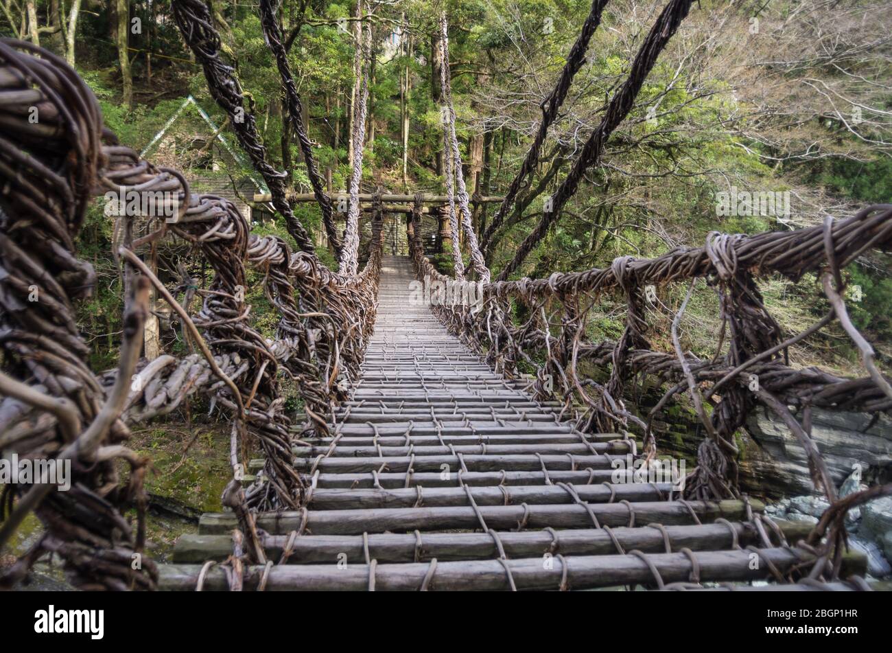 Die Iya Kazurabashi Vine Bridge aus Actinidia arguta (und Stahlseil) in Tokushima, Shikoku Japan Stockfoto